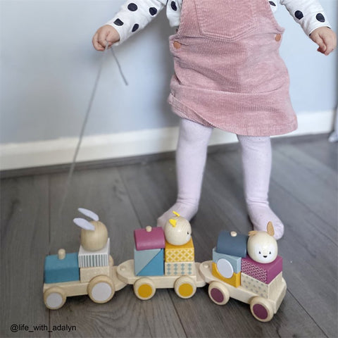 Activity Pull Along Train - Kiddo Joy