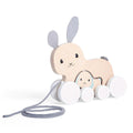 Bunny & Baby Pull Along - Kiddo Joy